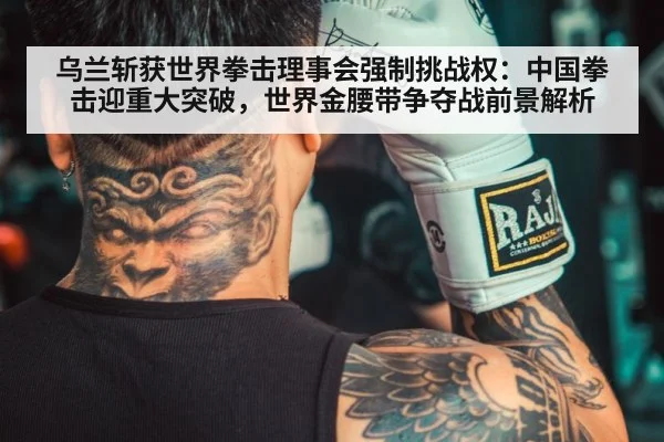 乌兰斩获世界拳击理事会强制挑战权：中国拳击迎重大突破，世界金腰带争夺战前景解析