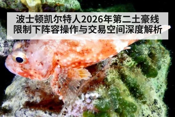 波士顿凯尔特人2026年第二土豪线限制下阵容操作与交易空间深度解析